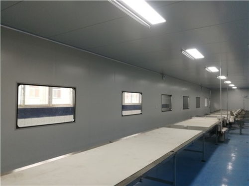 山東濟南食品廠凈化車間凈化工程與裝飾裝修施工全解析